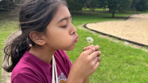 490611423_2112620705826534_3332155793539230418_n